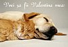Vrei sa fii Valentina Mea?